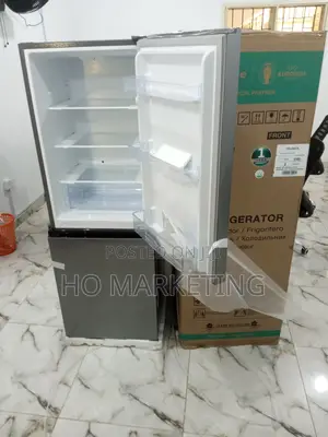 Hisense Refrigerator 29dca Bottom Freezer Double Door Fridge