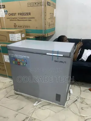Flavor Preserving BD-200A 200L New In Skyrun Chest Freezer