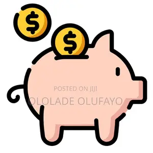 Financial Insurance (Esusu)