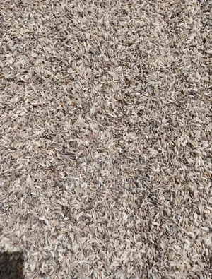 Dog Brown Rice