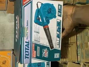 Air Blower 650w Double Function