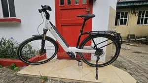 Riese Müller Top End German Swiss Ebike
