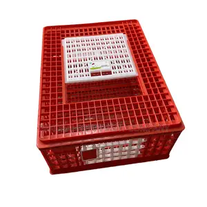 Transport Cage for Chicken Main Dealer,Layer Battery Cage