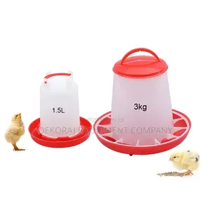 Various Feeders And Drinkers For Poultry Farming