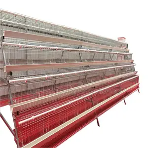 160 Birds Poultry Cage, Poultry Cages Main Dealer In Nigeria