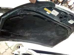 Lexus ES 330 Complete Bonnet Neat One 04