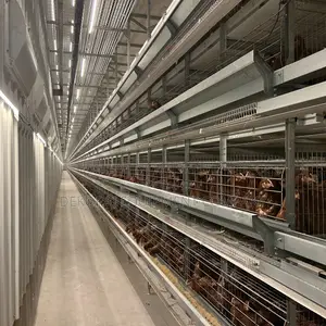 Automated Layer and Broiler Caging System for Up to 200,000