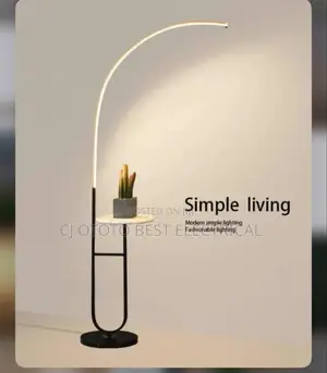 Led Luxury Simple Standing Lamp 