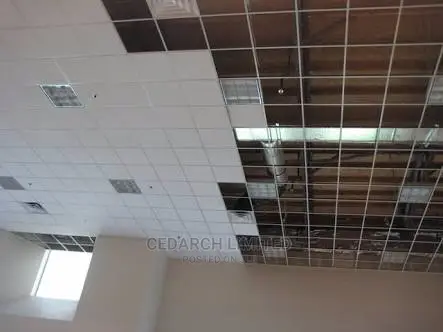 Suspended Ceiling and Slates