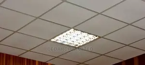Suspended Ceiling and Slates