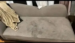 Sofa Cleaning Before/After Progress, Cleaning Service 