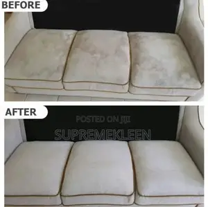Expert in Professional Carpet Sofa Set Cleaning Service