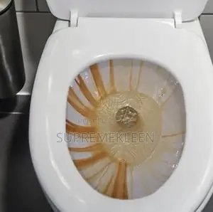 Affordable Cleaning Services Stains Removal