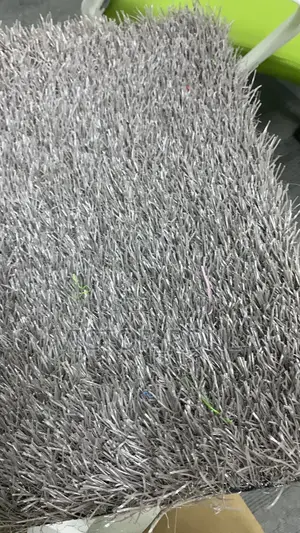Colored Carpet Grass