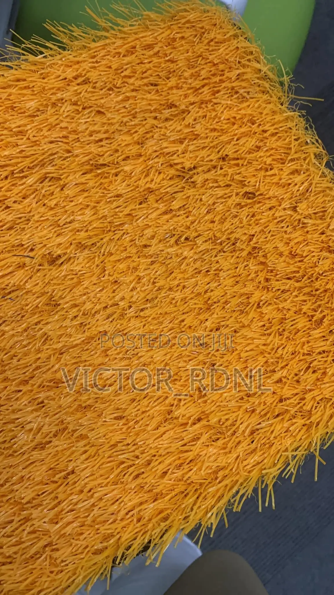 Colored Carpet Grass