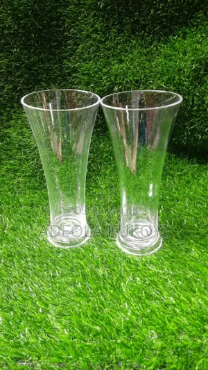 Acrylic Beer Cup