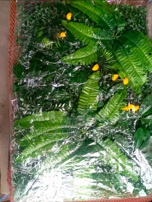 Flower Mat Plants