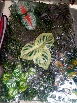 Flower Mat Plants