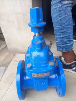DN100 Cast Iron Gate Valve, PN10/16