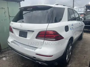 Mercedes-Benz GLE-Class GLE 350 4MATIC 2019 Orange