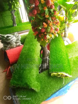 Turkey Grass Carpet