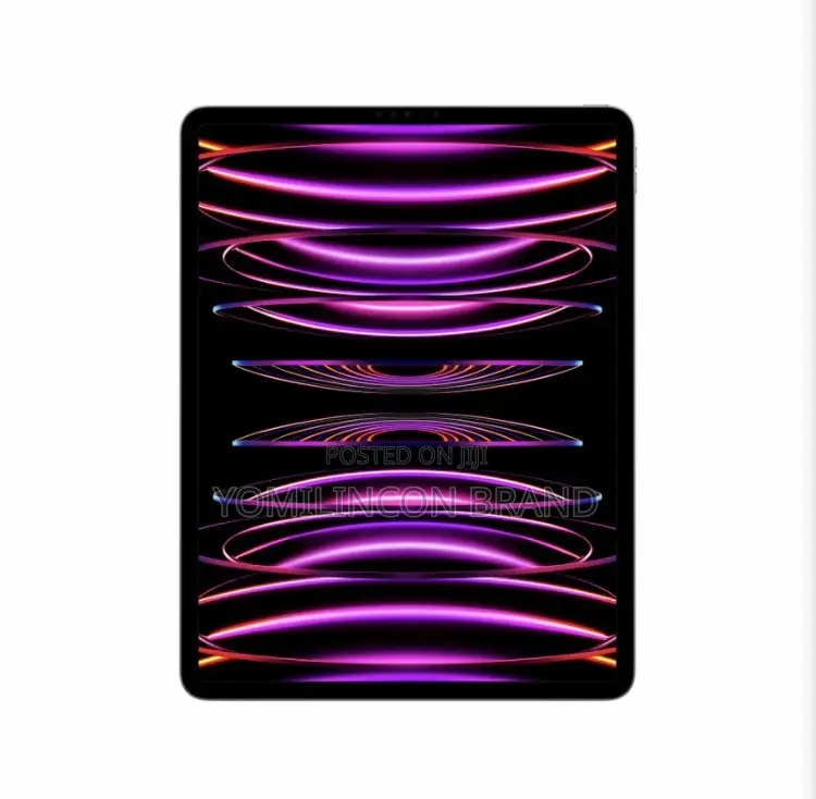 New Apple iPad Pro 256 GB Gray