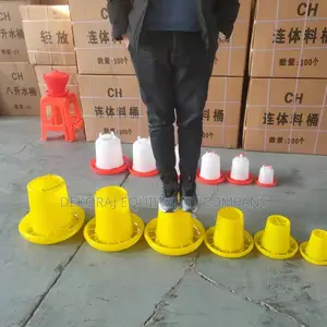 Dealers In All Poultry Poultry Equipment, 8kg Feeder