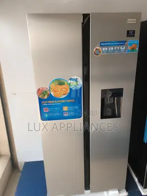 Fast Selling 436l Silver Polystar Refrigerator