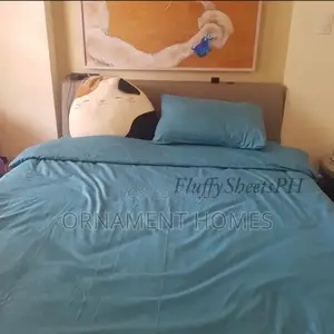 Blue Duvet Bedsheet and Pillowcases