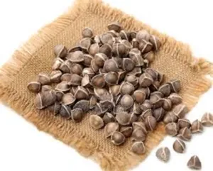 Moringa Seed 250g