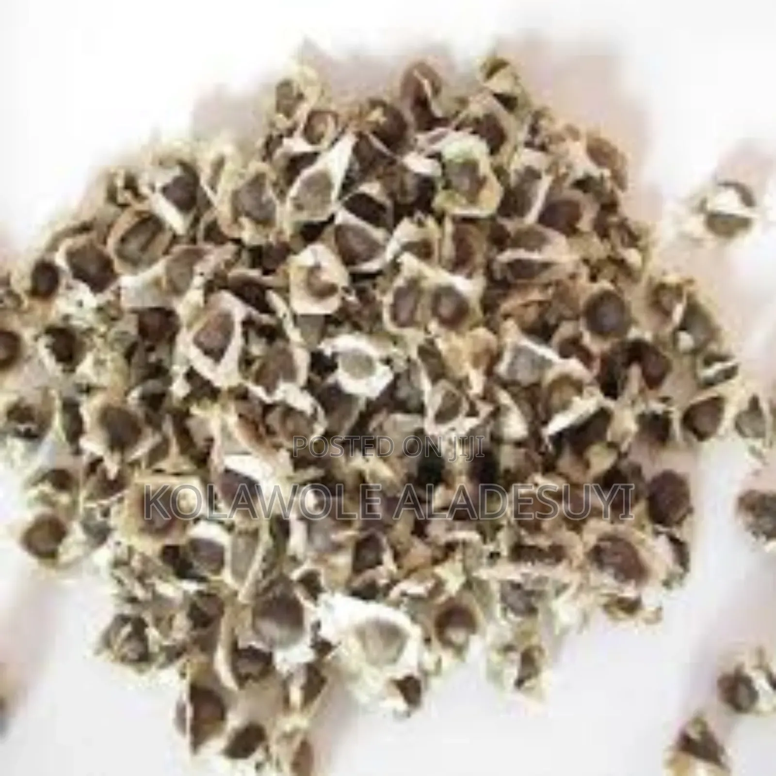 Moringa Seeds 500g