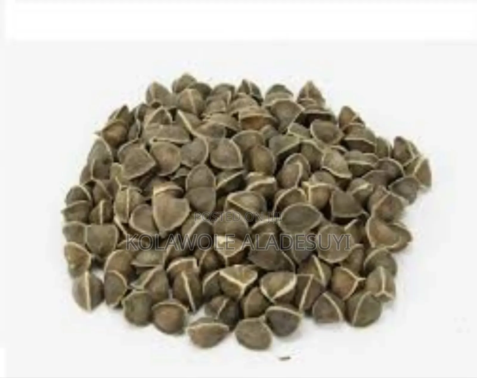 Moringa Seeds 500g