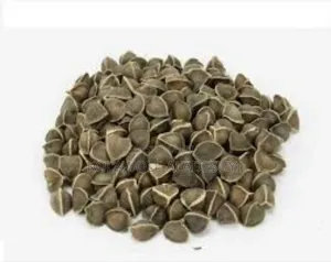 Moringa Seeds 500g