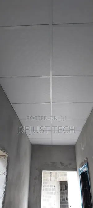 Professional Suspended Ceiling Works