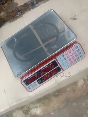 30kg Camry Digital Scale