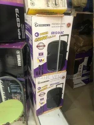 Brand New 12 Inches Goodnews Pa System
