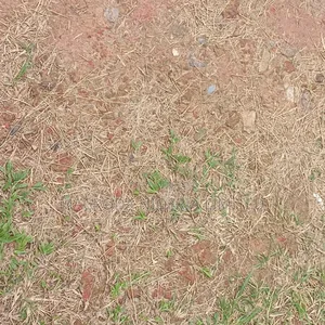 Land Measuring About 1’600sqm With a Demolishable Structure