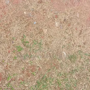 6 Plots of Land at Off Amule Ashipa Road, Ipaja