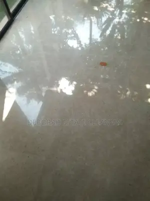 Professional Marbel and Terrazo Floor Rejuvenation