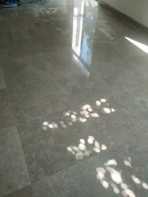 Marble and Terrazzo Floor Grinding and Polishing