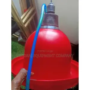 Boost Egg With Durable Indian Bell Drinker, Point Of Lay