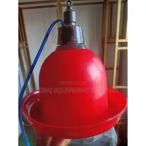 Indian Bell Drinker For Birds For Sale,Feeders Etc