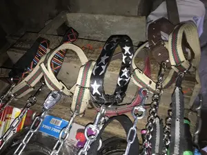PET Leashes (Different Type)