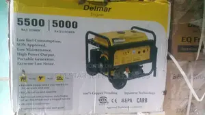 Delmar Spg12000 Key Starter Copper Generator