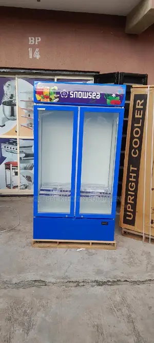 Two Doors Display Chiller