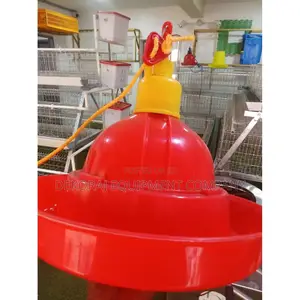 Maximize Egg Production With Our Bell Drinkers,Feeders