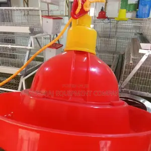 Automatic Bell Drinker For Birds, Point Of Lay Bird For Sale