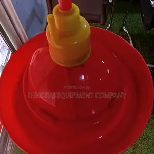 Automatic Bell Drinker, Jumbo Feeders, Transport Crate