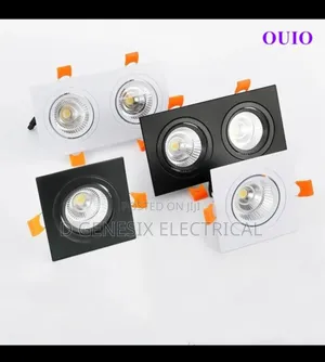 2 in 1 Spot Light