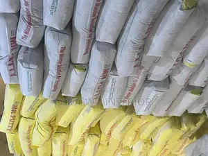 Mr Putty Engineer’S Screeding Cement
